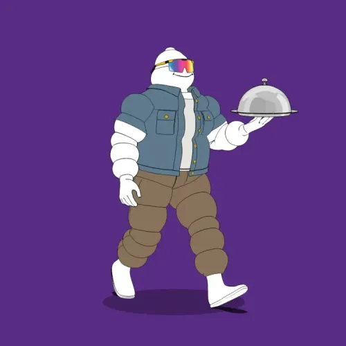 Michelin 3xplorer #1887