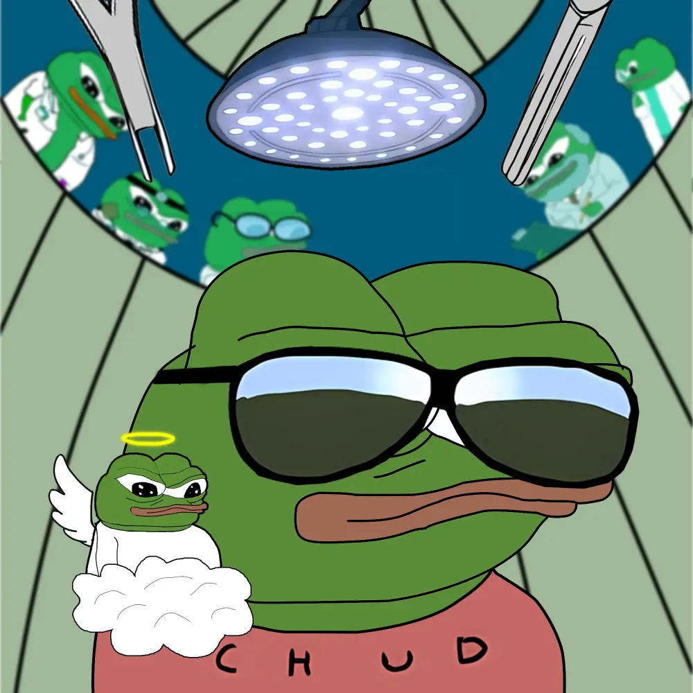 Apu #6295