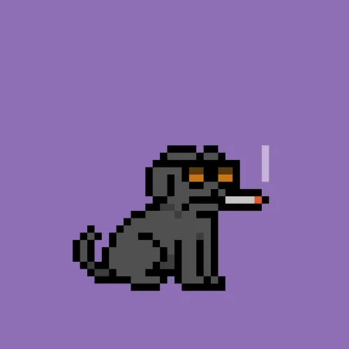 PUPZ #730