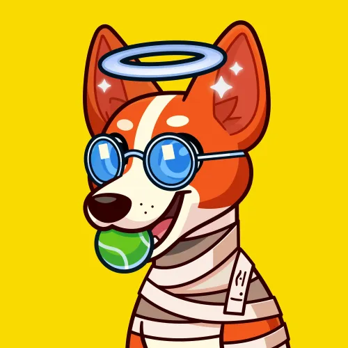 Basenji #2437