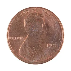 #65894264