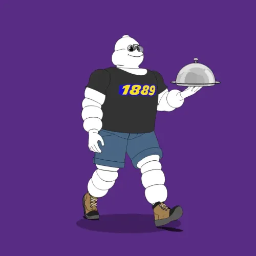 Michelin 3xplorer #348