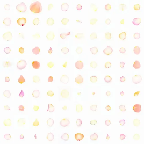 Infinite Petals 10x10#10110