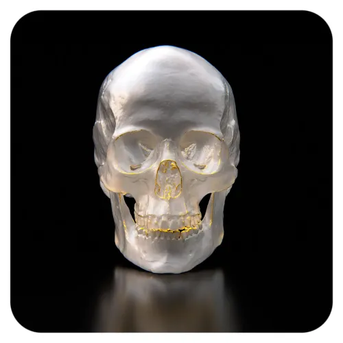 THE SECOND SKULL #2421
