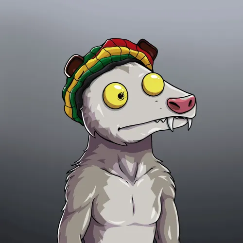 WTF Opossum #290