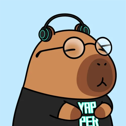 Yapybara #913