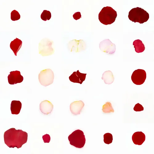 Infinite Petals 5x5#1424