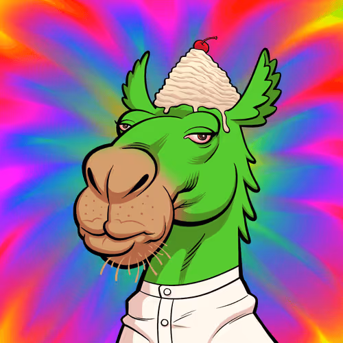 Arabian Camel #403