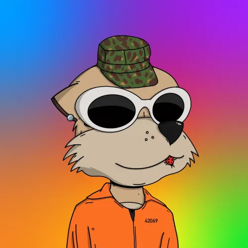 Meerkat #9976