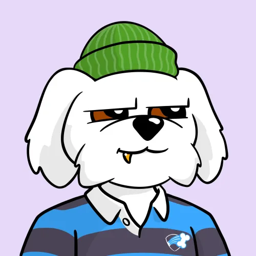 BoDoggos #2025