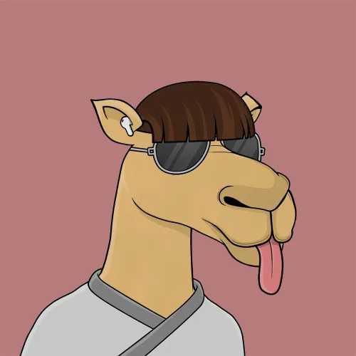 Camel #5526