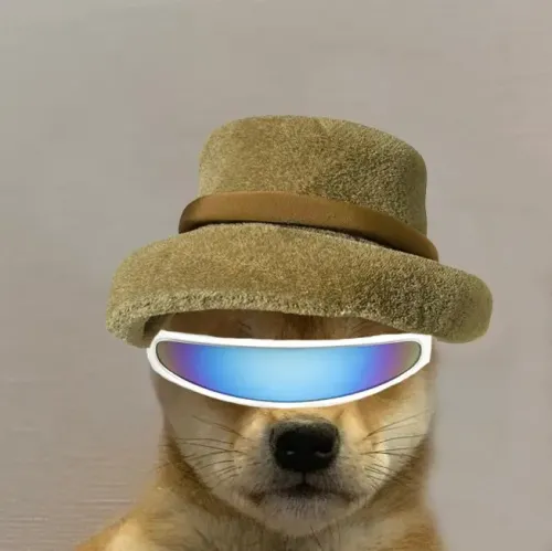 Dogwifhat #3