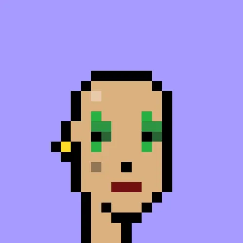 V1 PUNK #3329