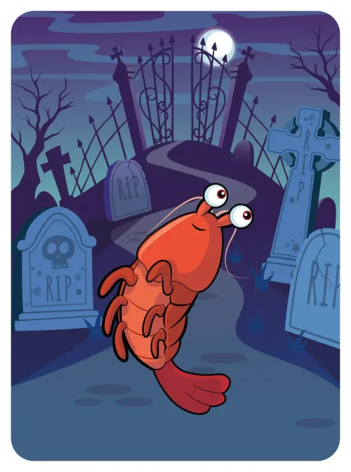 Sufficient Shrimp #13990