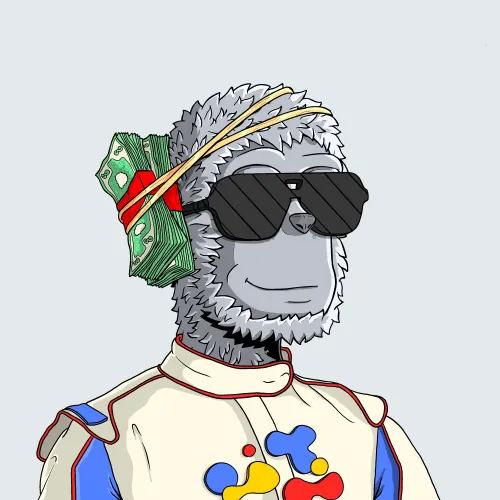 y00t #8961