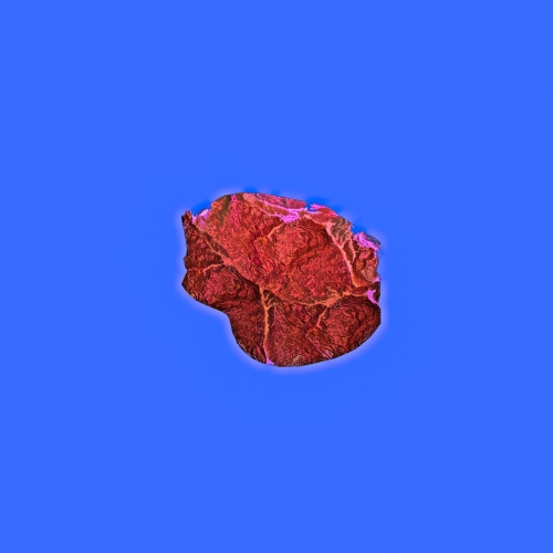 Steak #1195