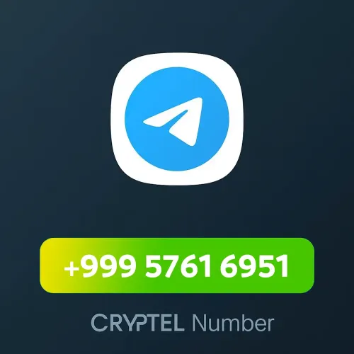 +999 5761 6951