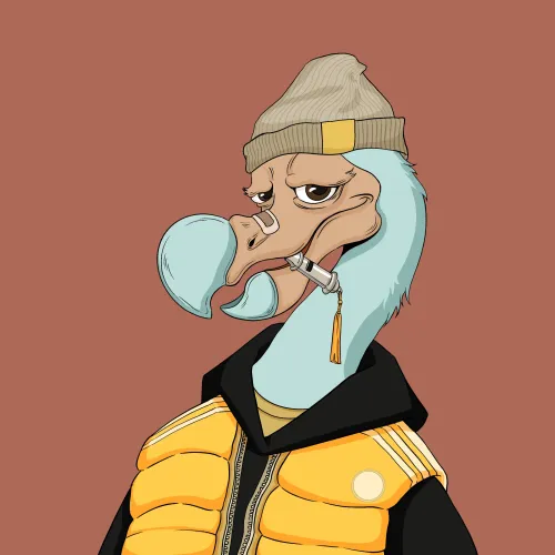 DoDo #5489