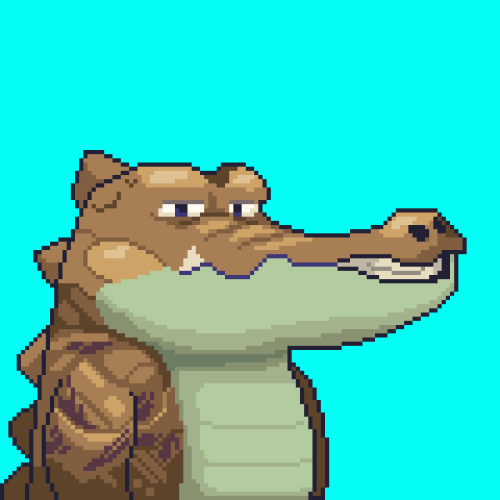 Croc #4365