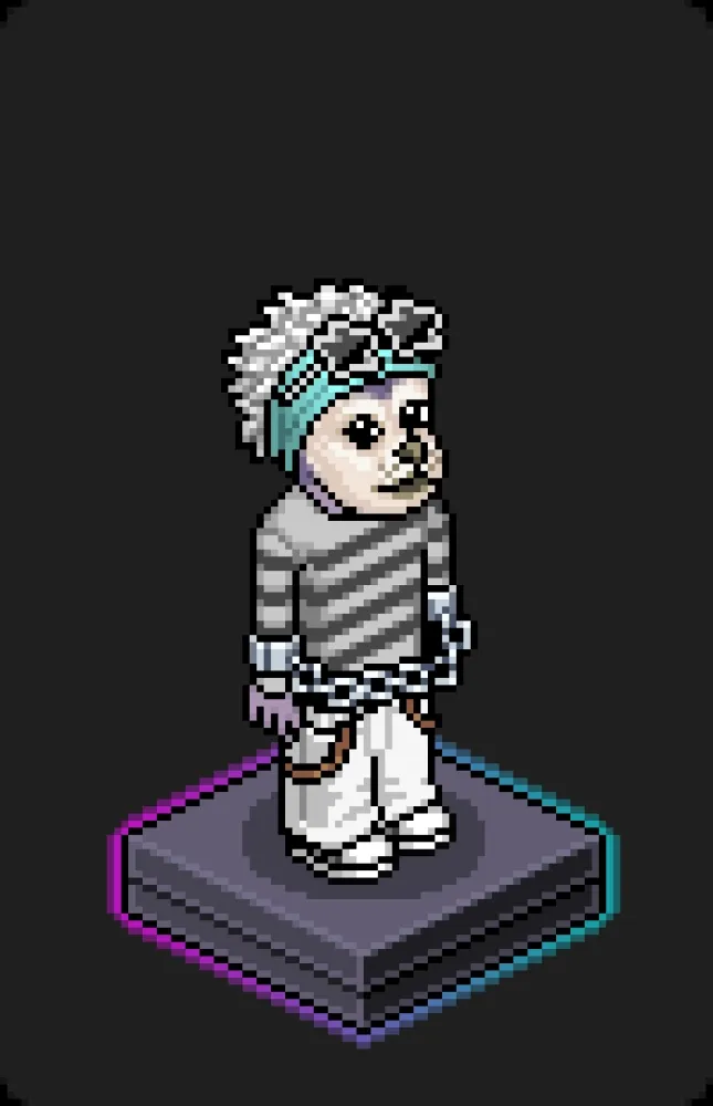 Habbo Crafted Avatar #1791