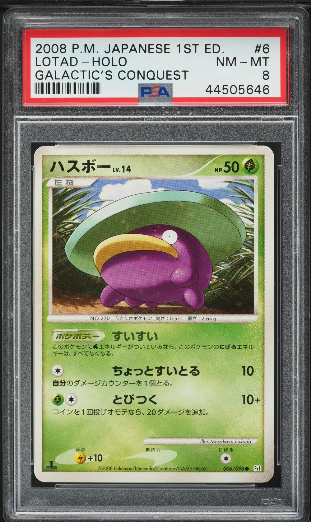 2008 #006 Lotad-Holo 1st Edition