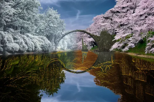 Reflection #970