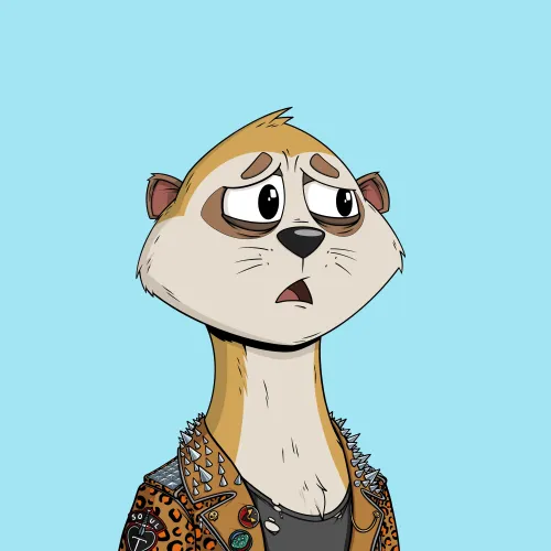 Worried Meerkat #738