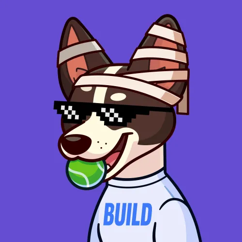 Basenji #2411