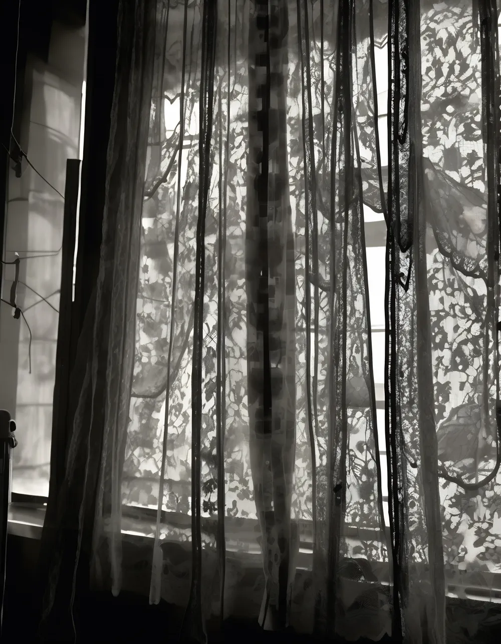 Shadowed Moments in Daylight #22