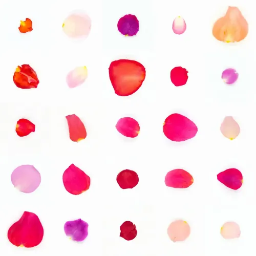 Infinite Petals 5x5#20904