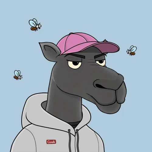Camel #1542