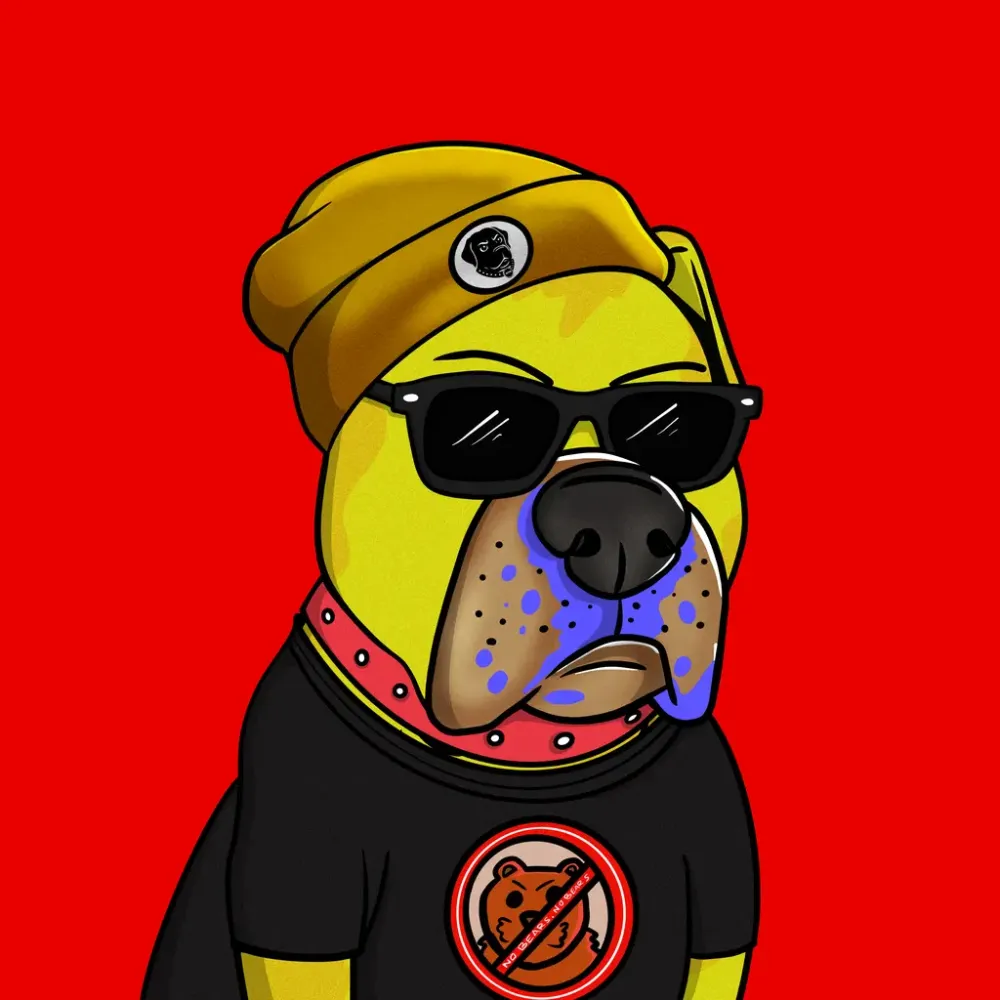 Vito #893