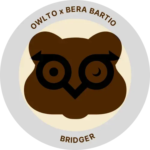 Owlto x Bera bArtio Bridger ＃39882764