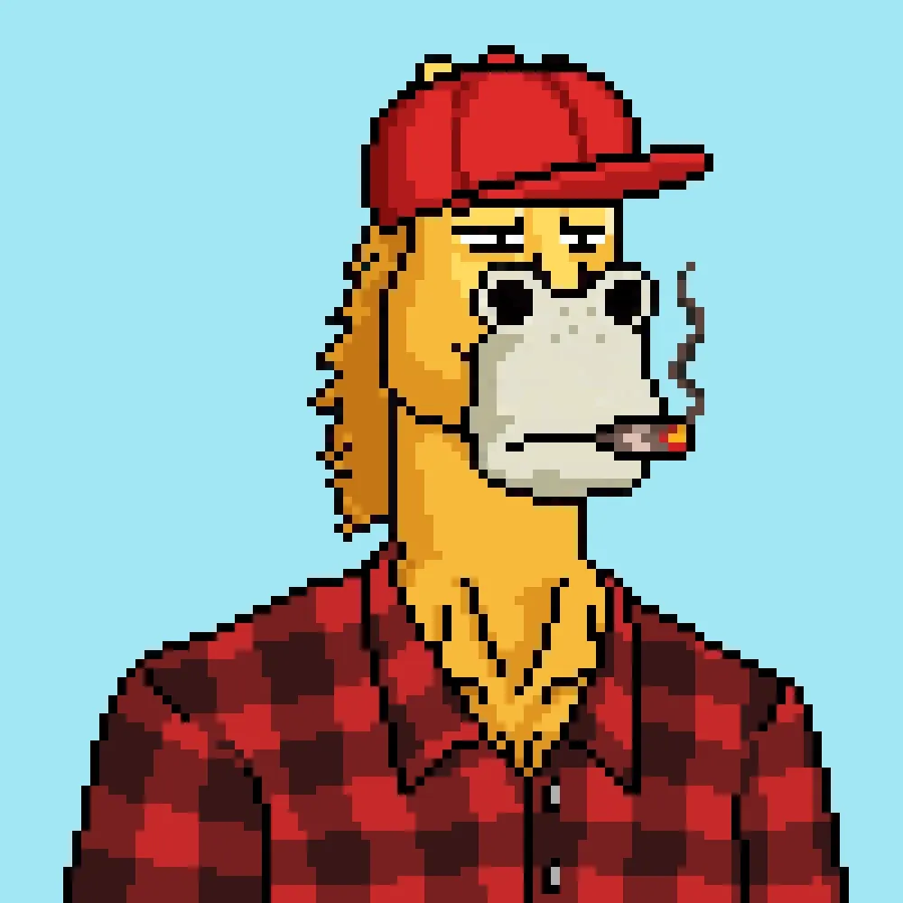 Horse Club #1341