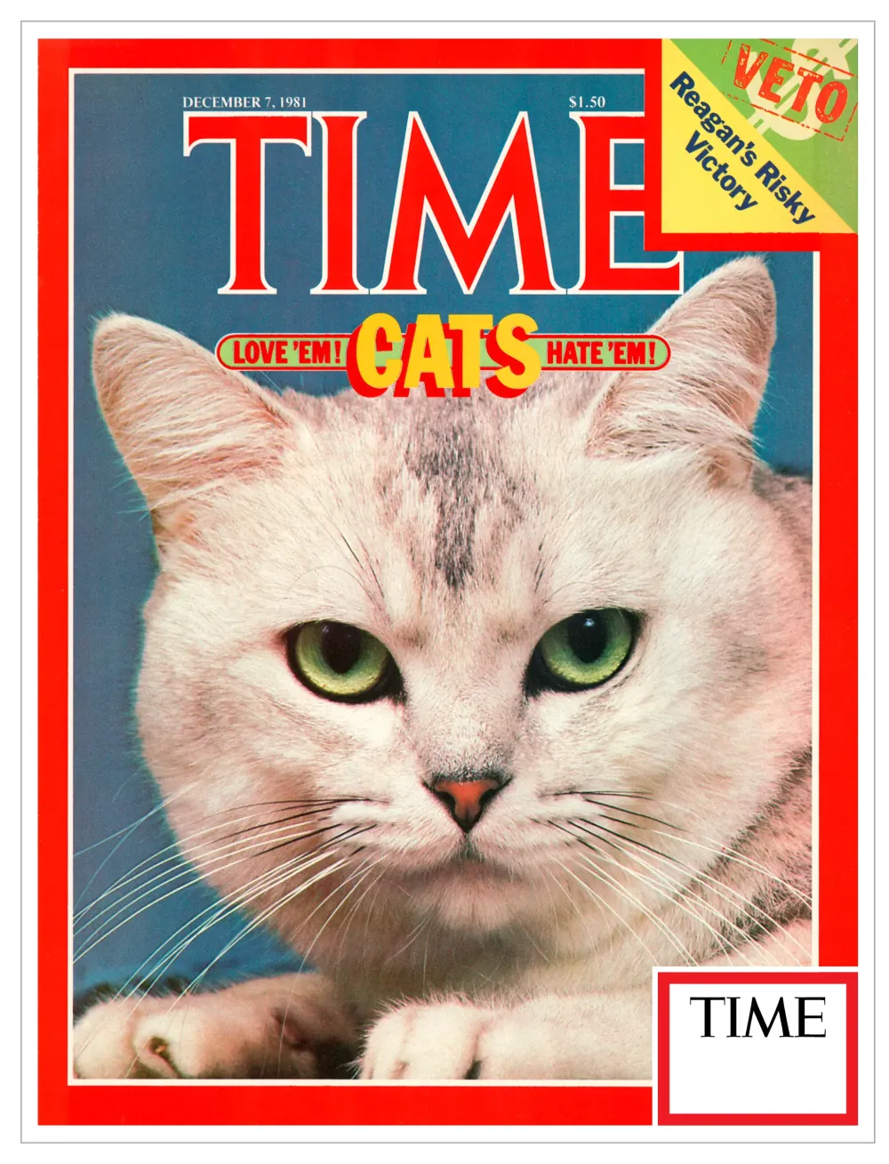 TIME Cats Love 'em! Hate 'em! - December 7th, 1981 #8812