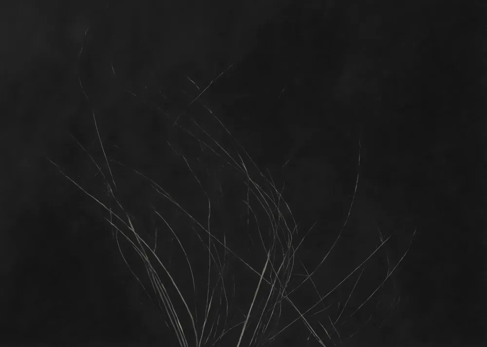 Lumens #714