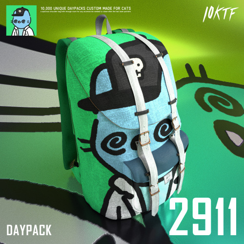 Cool Daypack #2911