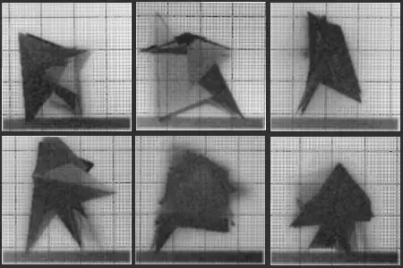Chronophotograph 74 #74