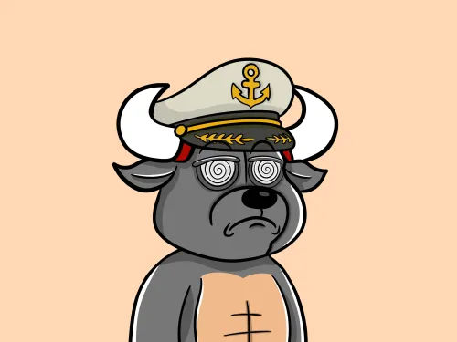 BullBears #811