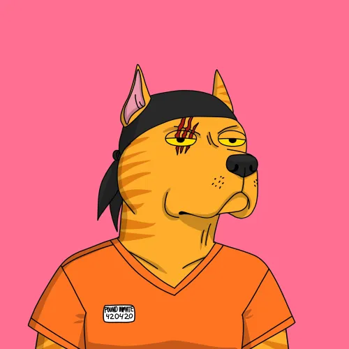 Gutter Dog #2852