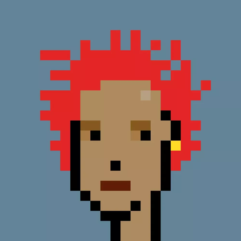 Phunk #1205