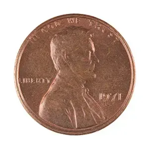 #65976655
