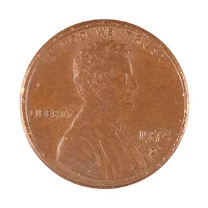 #65987662