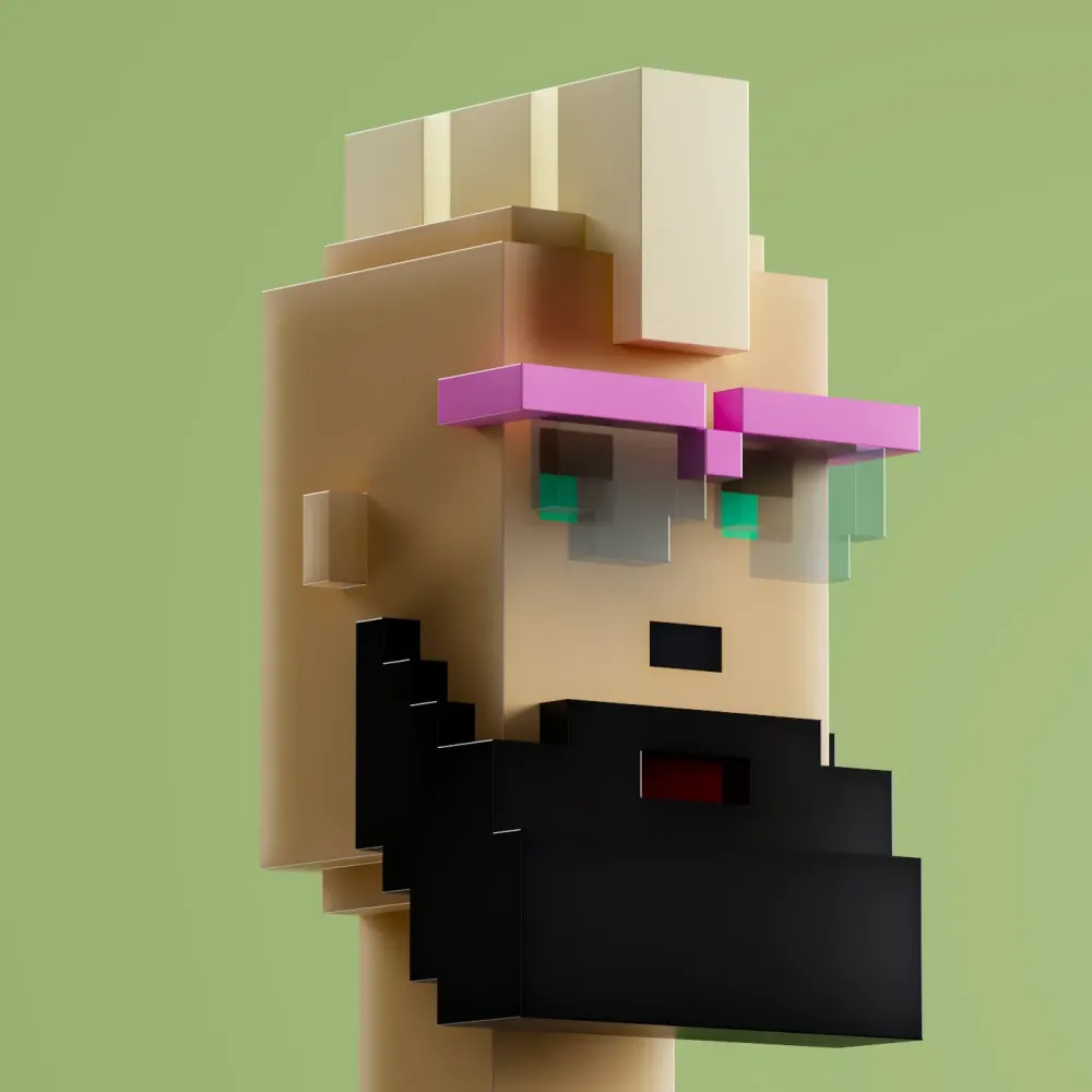 PUNKBIT #9737