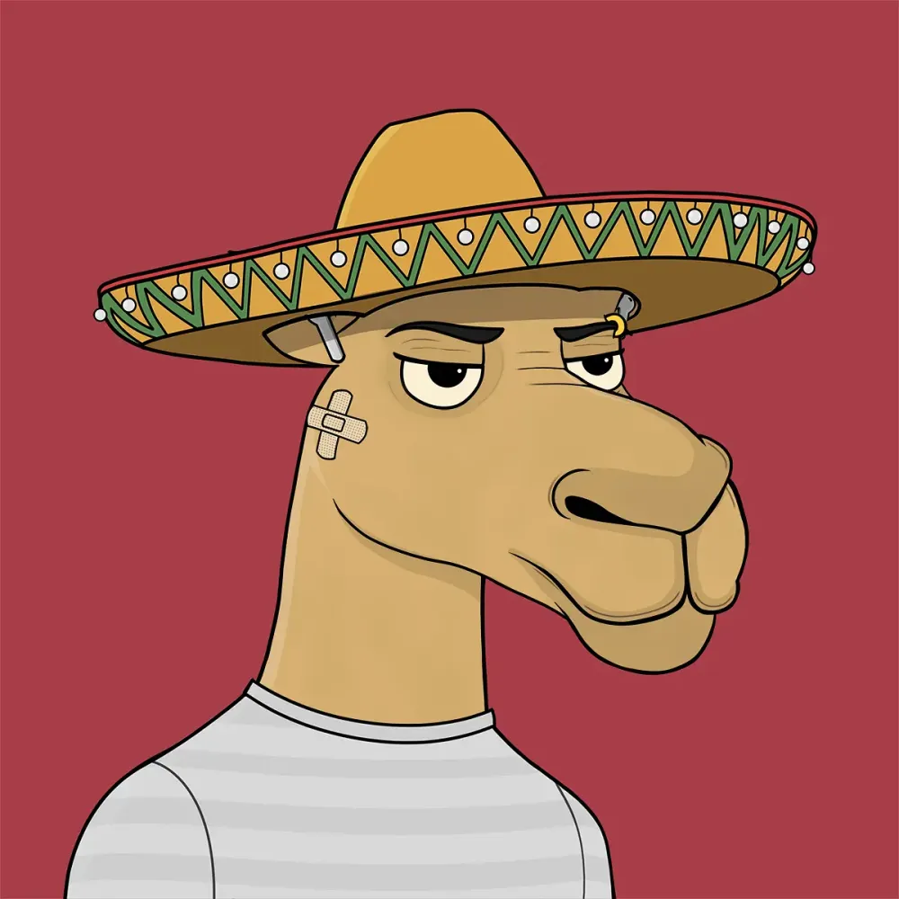 Camel #930