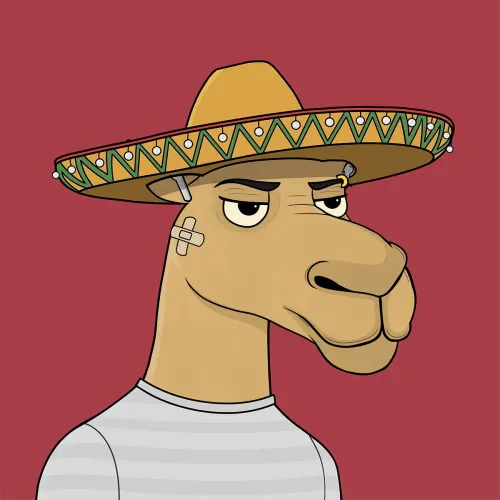 Camel #930
