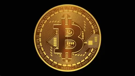 KING Bitcoin Digital Gold Metaverse Token - #001