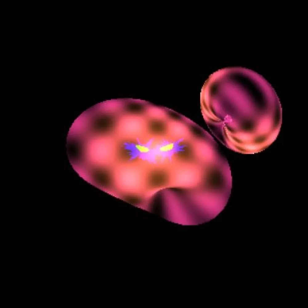 Blob #9413 (#67634872)