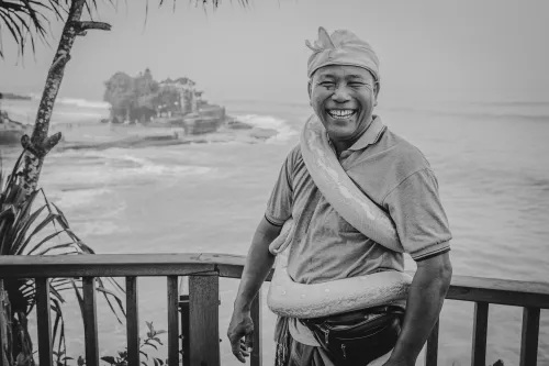 Ketut - 3/3 #4