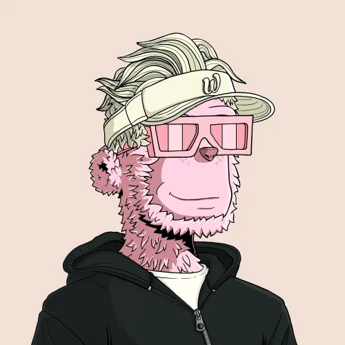 y00t #6401